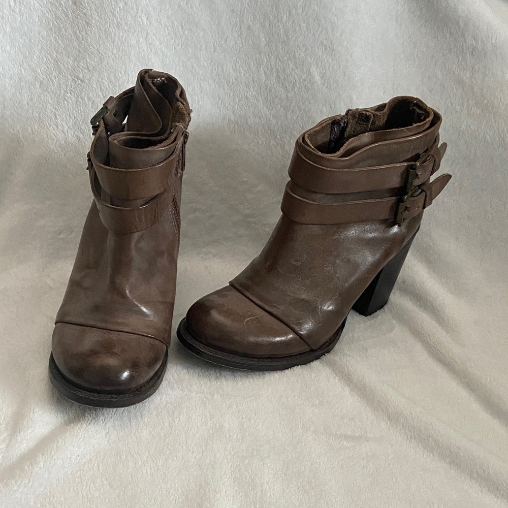 Freebird Lion by Steve Brown Ankle Boots